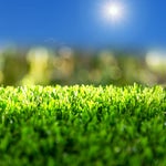 Duke Dennis Not Invited Don't Go - Sound