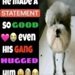 BECAUSE I HAVE PHANTOM PAIN