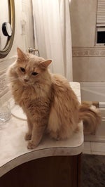 A BOMB HAS BEEN PLANTED ON OUR AMMO SUPPLY