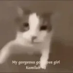 3 RAPARIGA