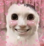 i think i like this little deku