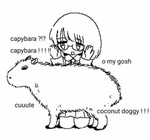 Capybara Coconut Doggy