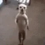 EL BAILE DEL BEEPER - Sound