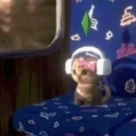 Sims cat - Просто