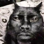 Homicides - Pashanim