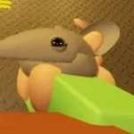 Joey-Doombringer Grace