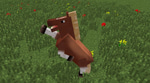 Jump - horse