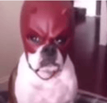 ga hjem til din mor kan du