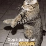 GANGNAM STYLE