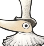 caméra 12 cafetière