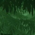 6. HUTAN MENYEDIAKAN SUMBER DAYA