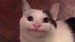 fart