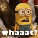 WHAT??