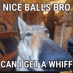 Aloitin Sveitsin valtaamisen juuri ennen heidän kansallispäivää