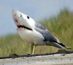 Run to the edge (Middle) - cyberpunk edgerunners