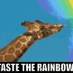 Skittles "I said dont touch MEEEEEEEEE"