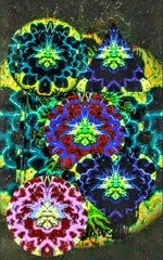 Waking Conversational - Sound