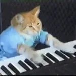 hey where did you get that piano