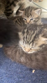 1872e751acb45 master playlist