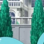 Nono La Grinta A COLORS SHOW