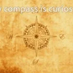 MY COMPASS IS CURIOSITY