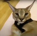 One Piece Movie 4 OST Dead End no Bouken Chika no Sakaba, Dai h