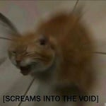 everyone is your enemy