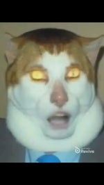 Monday left me broken