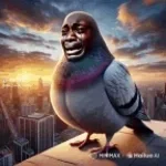 sigeon