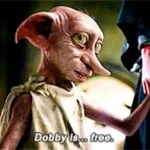 Dobby est libre