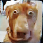 다운 (Dvwn) 마지막 (Last) [Official Music Video]