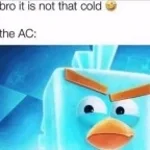 BRO COLD OR SMTH