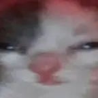 สแกนได้ไหมครับ - Sound