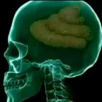 ضاعت وياك احلامي - Sound