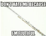 flut meme