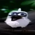 Bird laughing meme