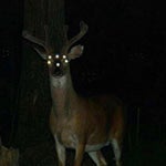 BlueFace Respect My Crypn (Earrape)