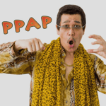 Funny cat Chinese dance