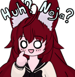 Why Noja