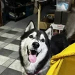 sino ka bang basher ka