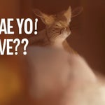 are you done yet? From