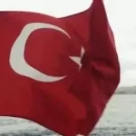 tamamda kanka ne alaka