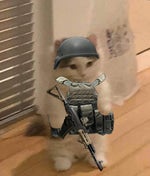 앙기모찌 원본영상 (퍼가세요) - Sound