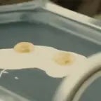 El Capon Shut up Chicken