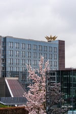 dle schueco RT Pop data