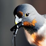 Singing Stevie Wonder to my SO