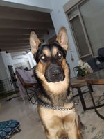 Goofy Ahh trolling sound effect TikTok Meme sound