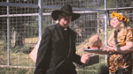Ohh Here Kitty Kitty - Joe Exotic Country Music - Sound