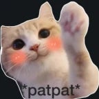 PatPat