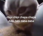 chipi chipi chapa chapa